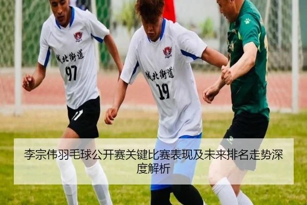 李宗伟羽毛球公开赛关键比赛表现及未来排名走势深度解析